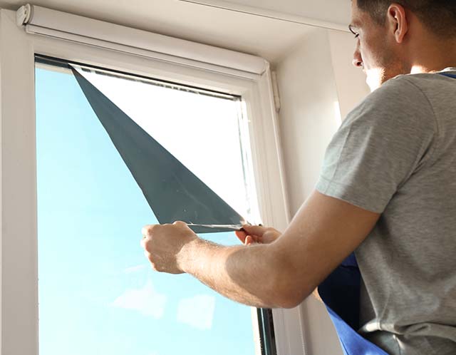 WindowTinting